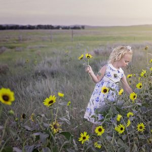 אבא איפה אתה יומן של ילדה שגדלה בצל ניכור הורי
